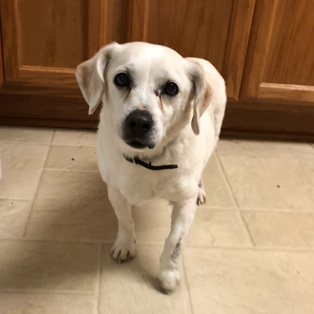 Meet your Posher, Mary-lena